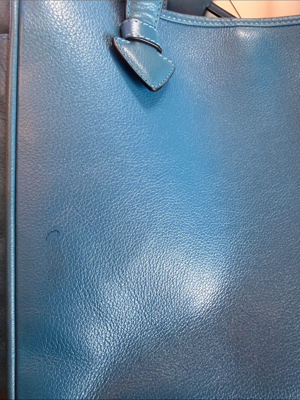 Loewe Calfskin Tote Bag Blue - Picture 8 of 8
